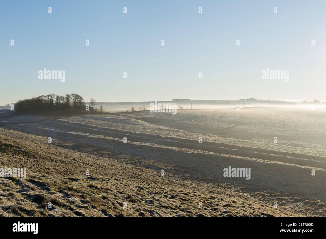 Morgennebel und die Linie des Vallum, von Cawfield Crags aus gesehen, in der Nähe von Caw Gap, Hadrian's Wall, Northumberland, Großbritannien Stockfoto