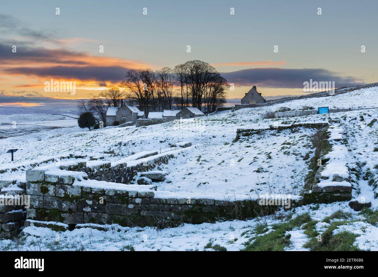 Die Umrisse der Gebäude im Vicus, die zivile Siedlung außerhalb der Festungsmauern, bei Housesteads Roman Fort, Hadrian's Wall, Northumberland, Großbritannien Stockfoto