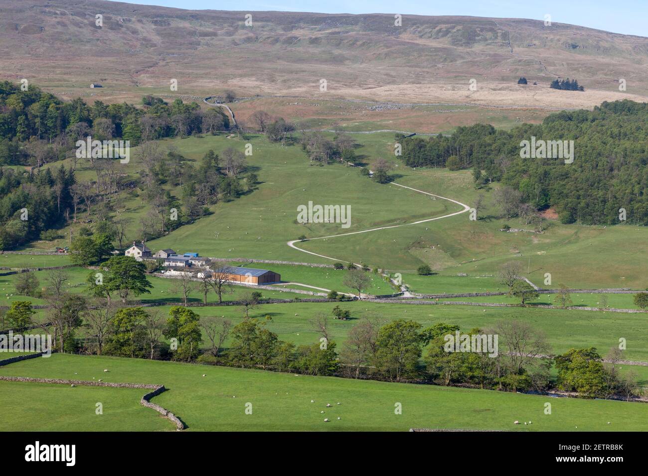 Blick auf Redmire, eine Yorkshire Dales Farm in der Nähe von Buckden in Upper Wharfedale Stockfoto