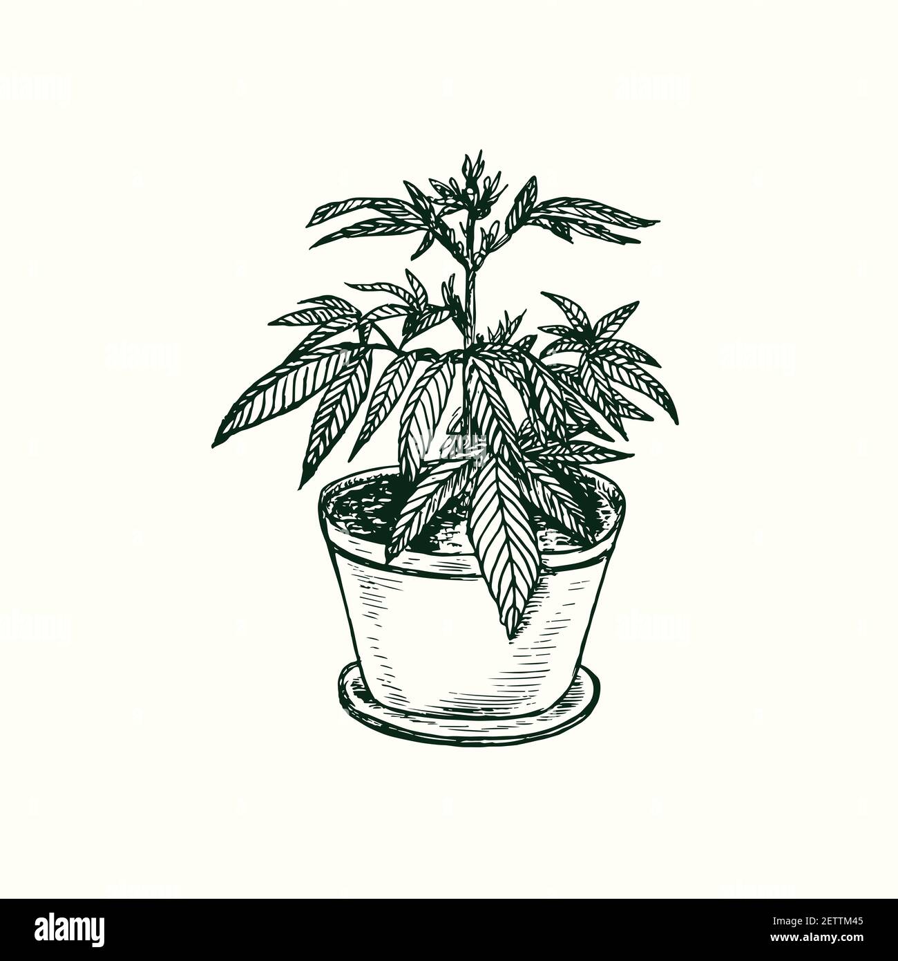Cannabis Marijuana Leaf Icon Outline Stockfotos und bilder Kaufen Alamy