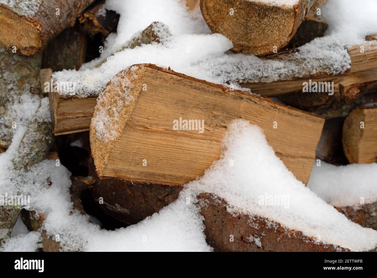 Split Hartholz und Weichholz Brennholz bedeckt mit Schnee im Winter während der Trocknung. Stockfoto