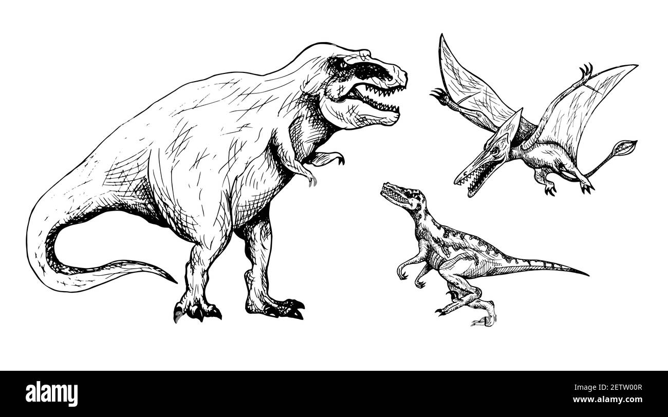 Predator Dinosaurier Set: Tiranosaurus, Velociraptor, Pterodactyl, handgezeichnete schwarz-weiße Doodle Skizze, Tusche Zeichnung Illustration Stockfoto