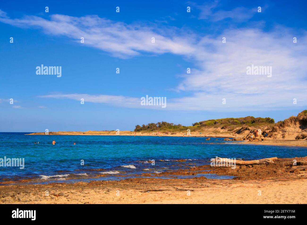 Torre Guaceto Naturschutzgebiet: Blick auf die Küste und die Dünen.Italien (Apulien). Mediterrane Macchia: Ein Naturschutzgebiet zwischen Land und Meer. Stockfoto