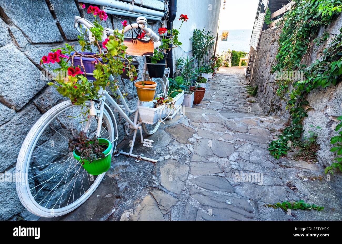 Sozopol, Bulgarien. Morgenlicht an der Küste des Schwarzen Meeres mit einer engen Gasse, touristisches Wahrzeichen des Balkans Stockfoto