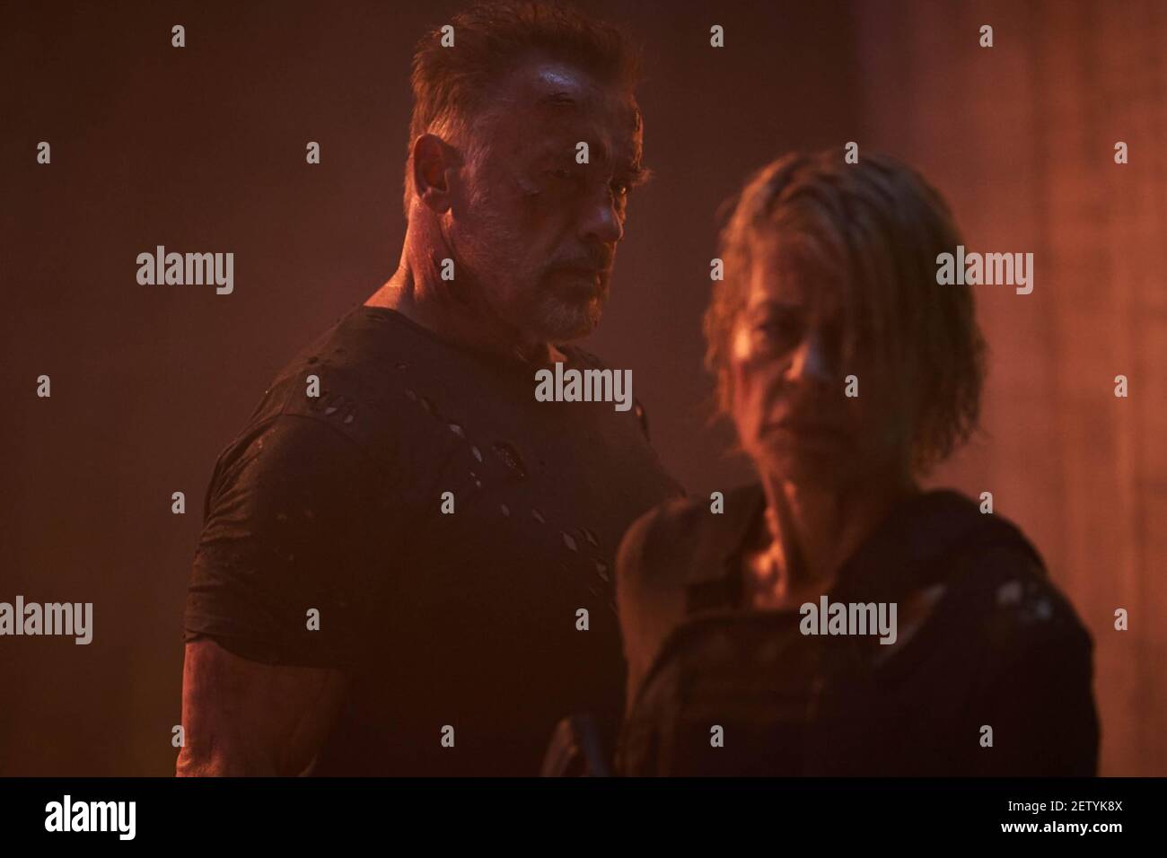 TERMINATOR: DARK FATE (2019) ARNOLD SCHWARZENEGGER LINDA HAMILTON TIM MILLER (DIR) PARAMOUNT/MOVIESTORE COLLECTION LTD Stockfoto