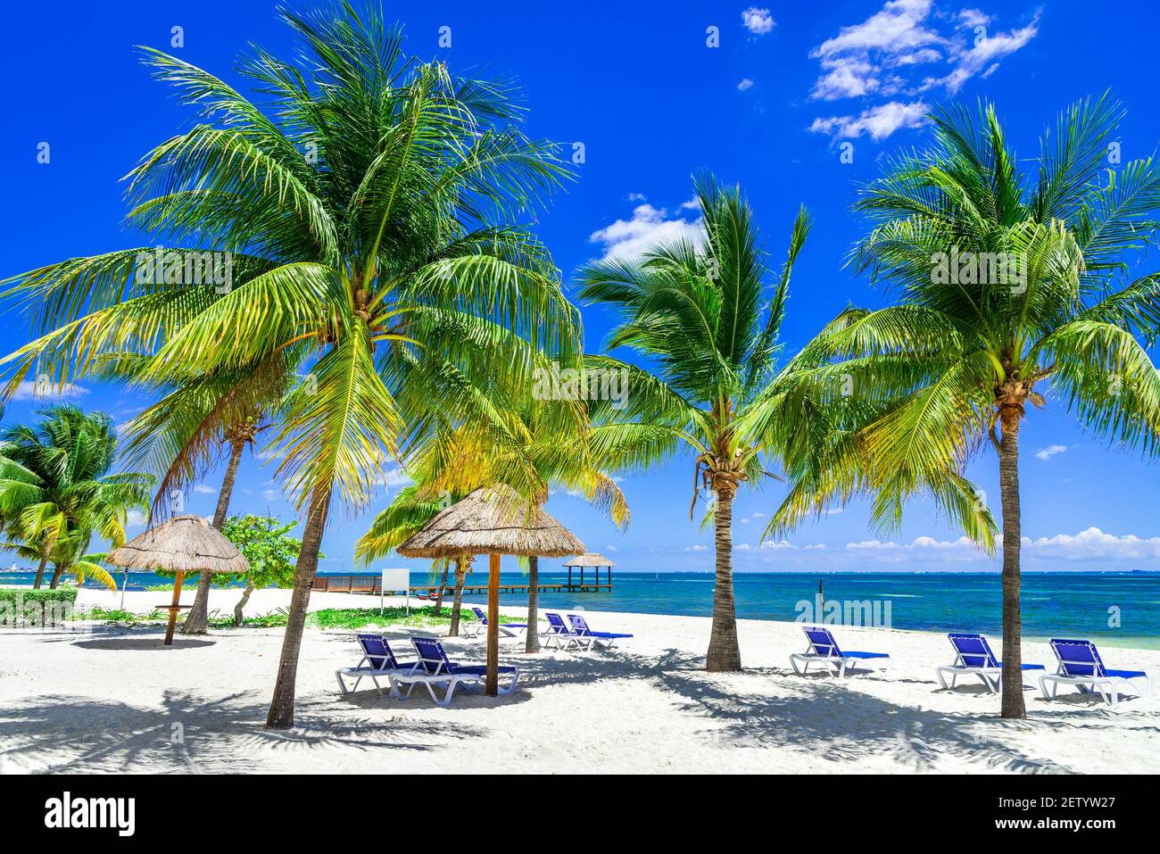Tropische Landschaft mit Kokospalme am karibikstrand, Cancun, Yucatan Peninsula in Mexiko. Stockfoto
