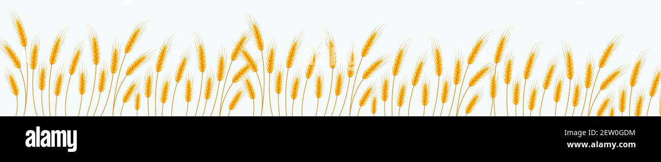Weizenbanner. Glücklich Shavuot. Vorlage für Ihr Design. Vektorgrafik Stock Vektor