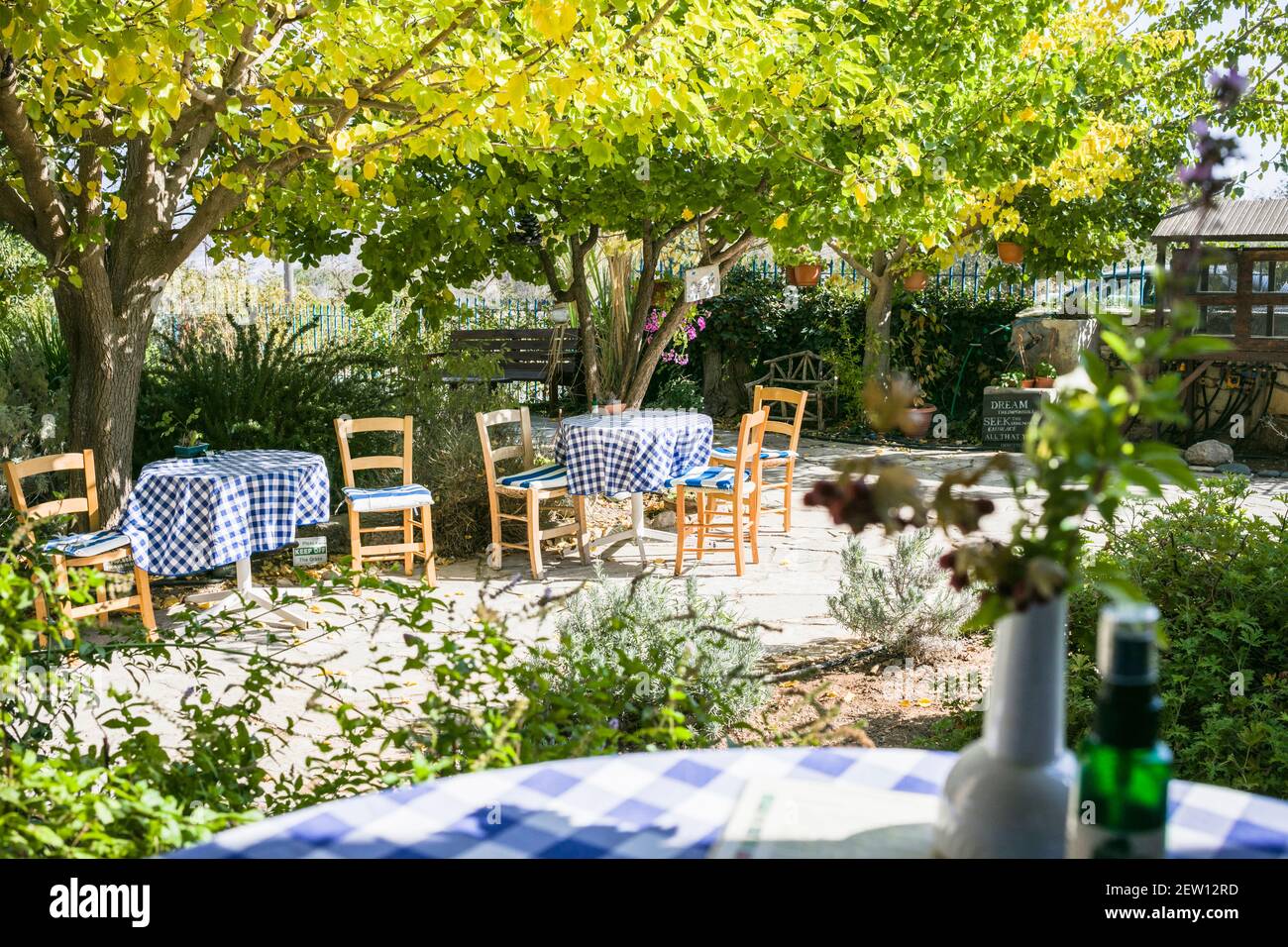 Mediterranes Café an einem warmen sonnigen Tag. Tische mit blau-weiß karierten Tischdecken. Gartenbepflanzung mit Zitrusbäumen. Stockfoto