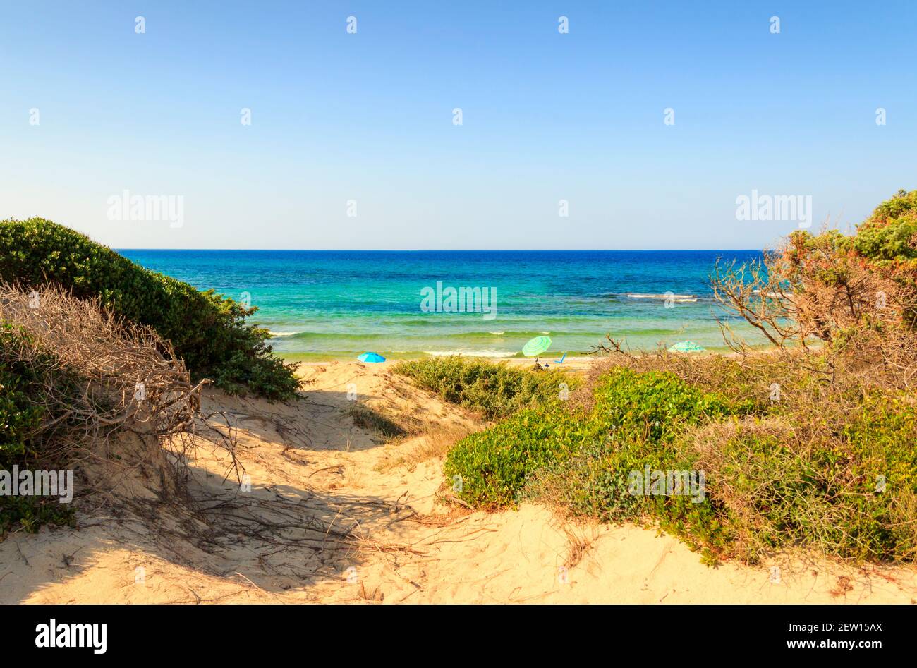 Torre Guaceto Naturschutzgebiet: Blick auf die Küste und die Dünen.Italien (Apulien). Mediterrane Macchia: Ein Naturschutzgebiet zwischen Land und Meer. Stockfoto