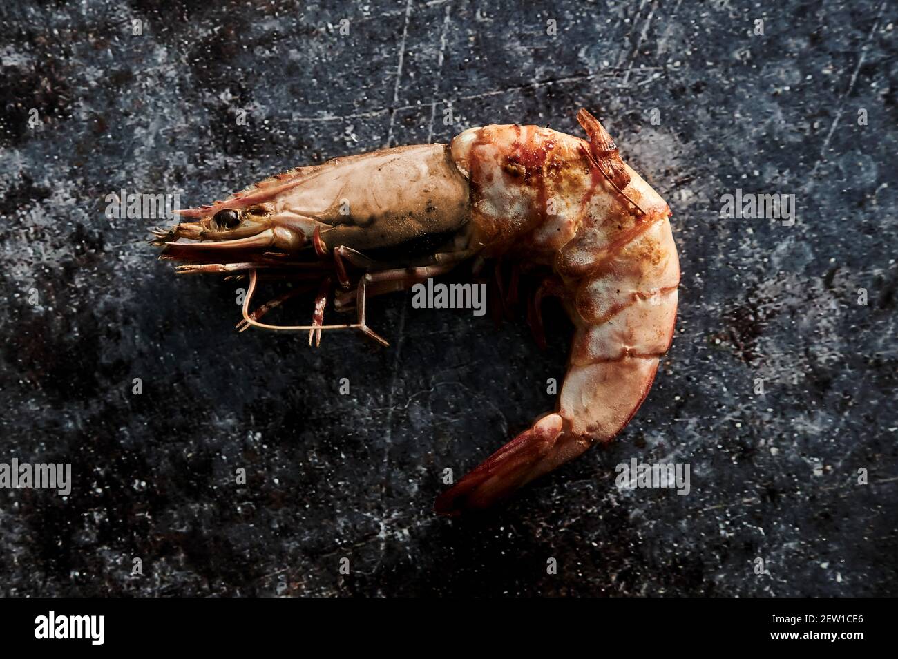 Von oben appetitliche Meeresfrüchte von Garnelen mit Schale und Beine auf gepunkteter Oberfläche Stockfoto