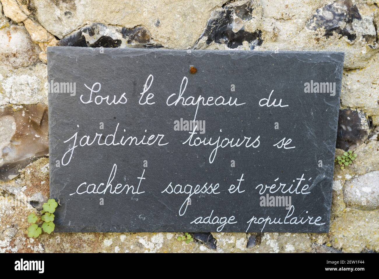 Frankreich, Somme, Baie de Somme, Saint Valery sur Somme, das Herbarium ist ein mittelalterlicher Garten klassifiziert bemerkenswerte Garten restauriert und von einer Vereinigung seit 1995, Zitat und philosophische Gedanken auf einem Schiefer im Garten gepflegt Stockfoto