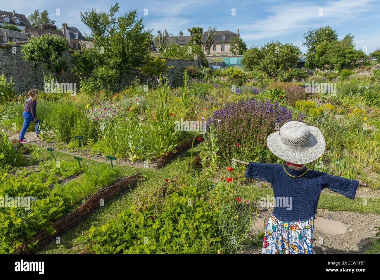 Frankreich, Somme, Baie de Somme, Saint Valery sur Somme, das Herbarium ist ein mittelalterlicher Garten klassifiziert bemerkenswerte Garten restauriert und von einem Verein seit 1995 gepflegt Stockfoto