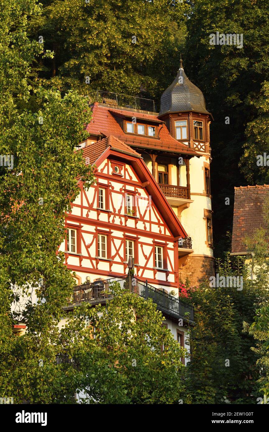 Deutschland, Baden Württemberg, Heidelberg, die Altstadt Stockfoto