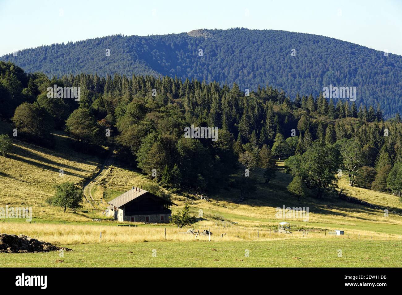 Frankreich, Haut Rhin, Parc Naturel Regional des Ballons des Vosges  (Regionaler Naturpark Ballons des Vosges), Route des Crêtes (Höhenstraße)  in der Nähe des Grand Ballon Passes Stockfotografie - Alamy