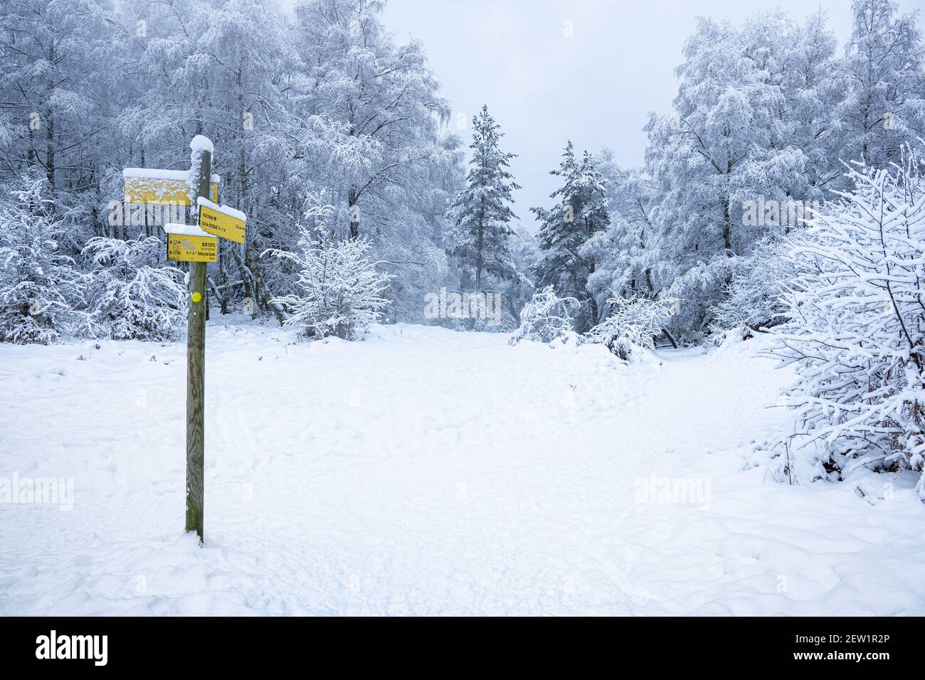 Frankreich, Puy de Dome, Orcines, regionaler Naturpark der Vulkane der Auvergne, die Chaine des Puys, von der UNESCO zum Weltkulturerbe erklärt, schneebedeckter Vulkan Puy Pariou Stockfoto