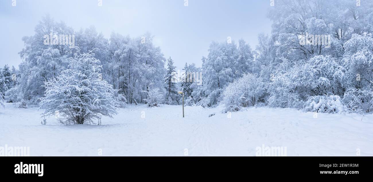 Frankreich, Puy de Dome, Orcines, regionaler Naturpark der Vulkane der Auvergne, die Chaine des Puys, von der UNESCO zum Weltkulturerbe erklärt, schneebedeckter Vulkan Puy Pariou Stockfoto