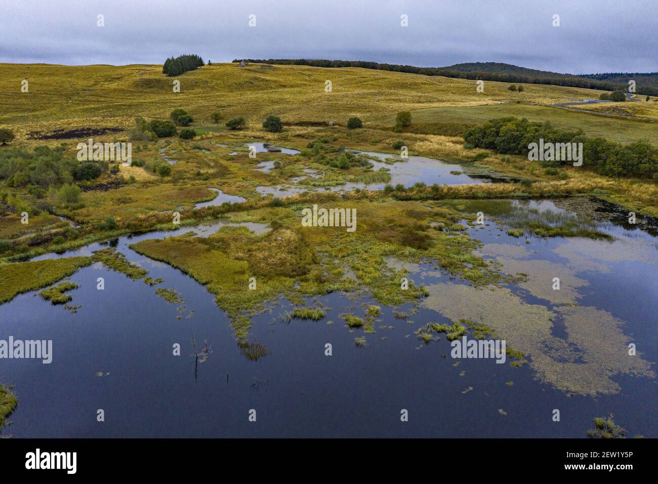 Frankreich, Aveyron, Aubrac Plateau, Torfmoor Stockfoto