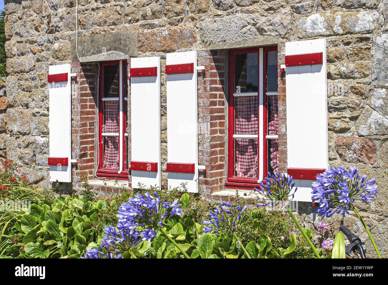 Frankreich, Côtes-d'Armor (22), île de Bréhat, fenêtres d'une maison traditionnelle bréhatine fleurie d'agapanthes à la Corderie Stockfoto