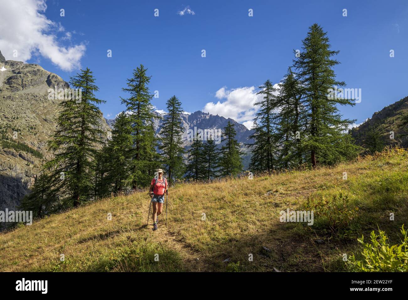 Frankreich, Hautes-Alpes, Ecrins Nationalpark, Wanderung zum Bosse de Clapouse, Mont Pelvoux im Hintergrund Stockfoto