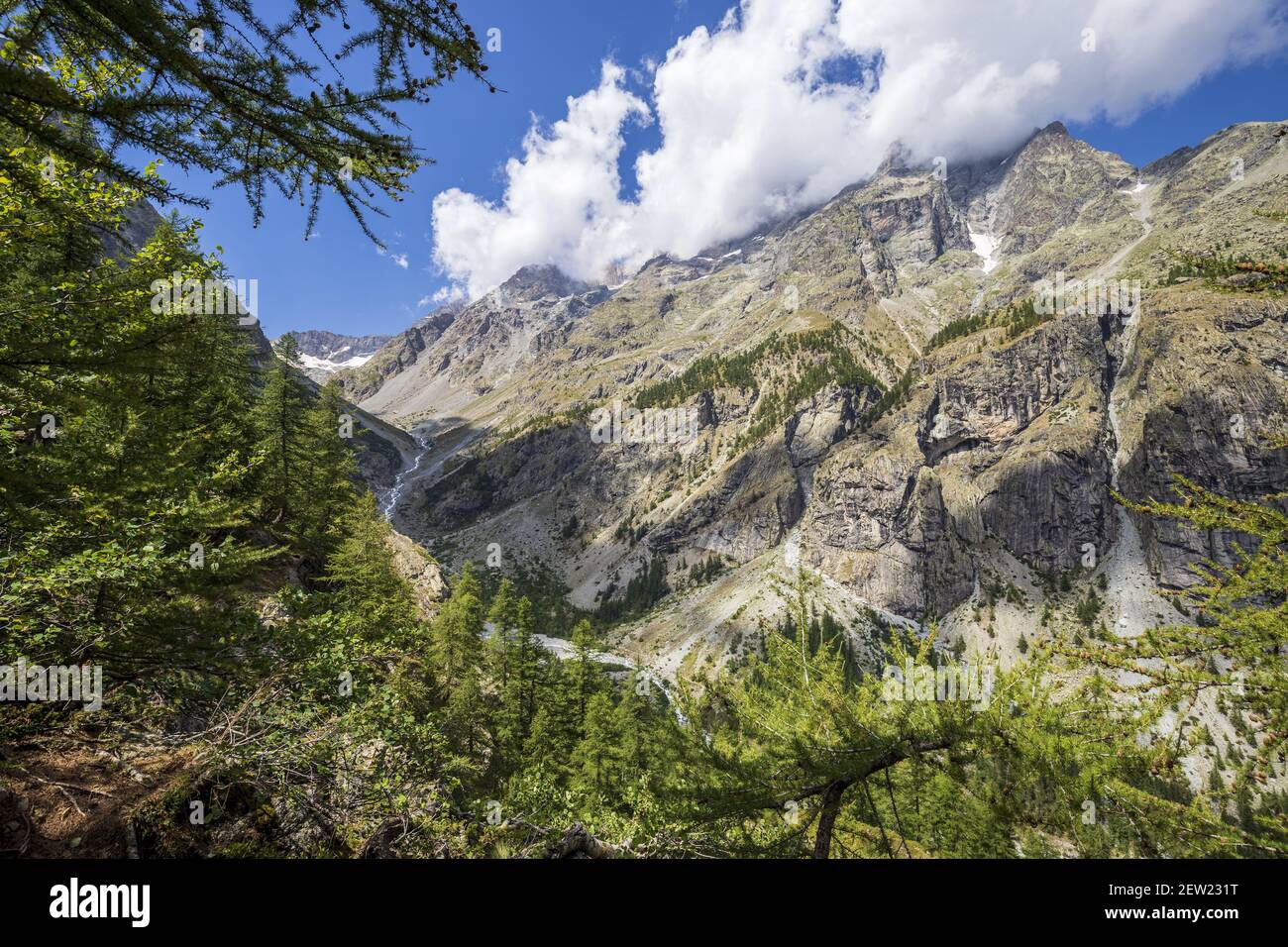 Frankreich, Hautes-Alpes, Nationalpark Ecrins, das Tal von Else Nière und Mont Pelvoux Stockfoto