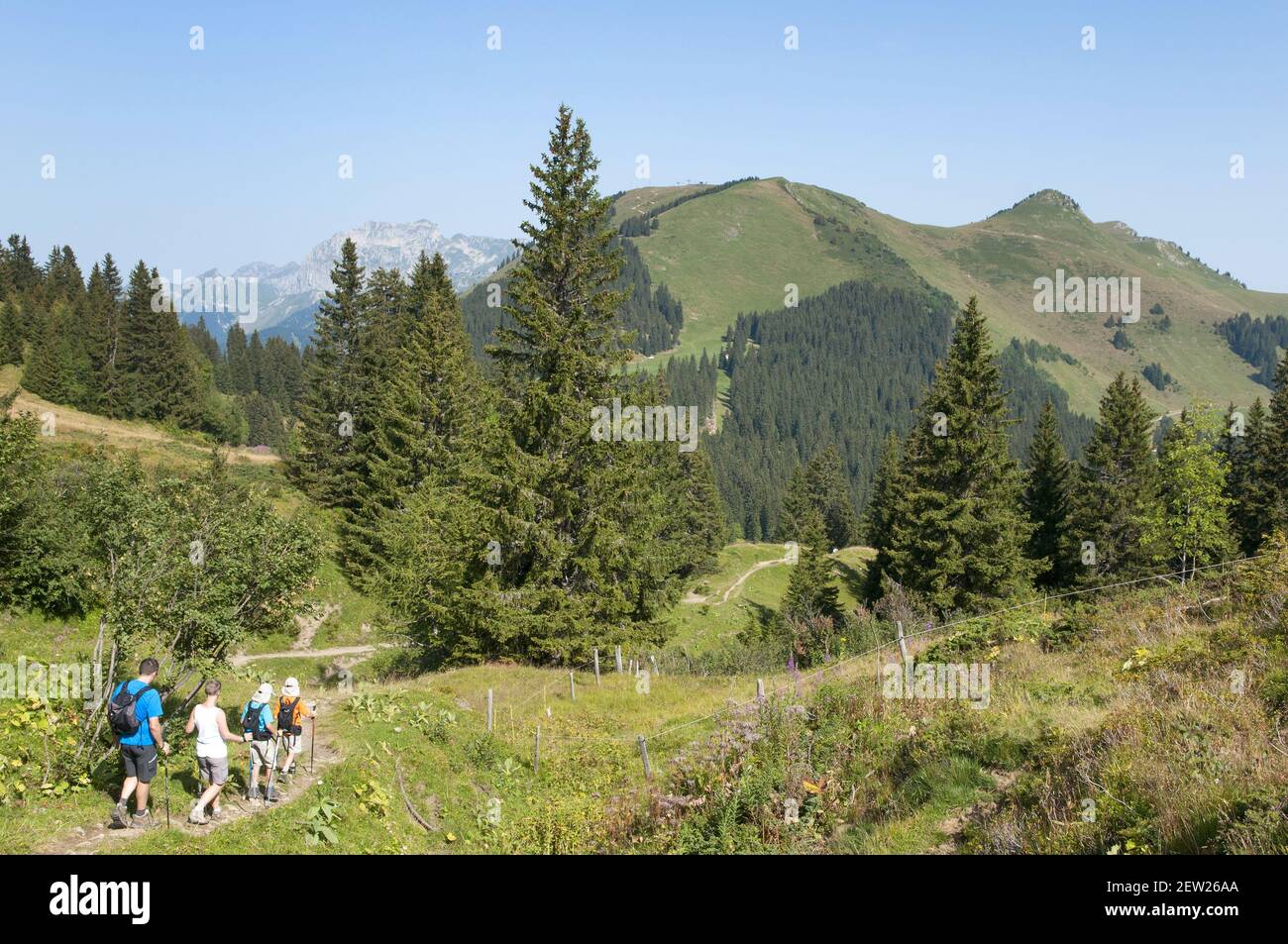 Schweiz, Kanton Wallis, Morgins, Familienwanderungen auf den Almen oberhalb des Ortes Stockfoto