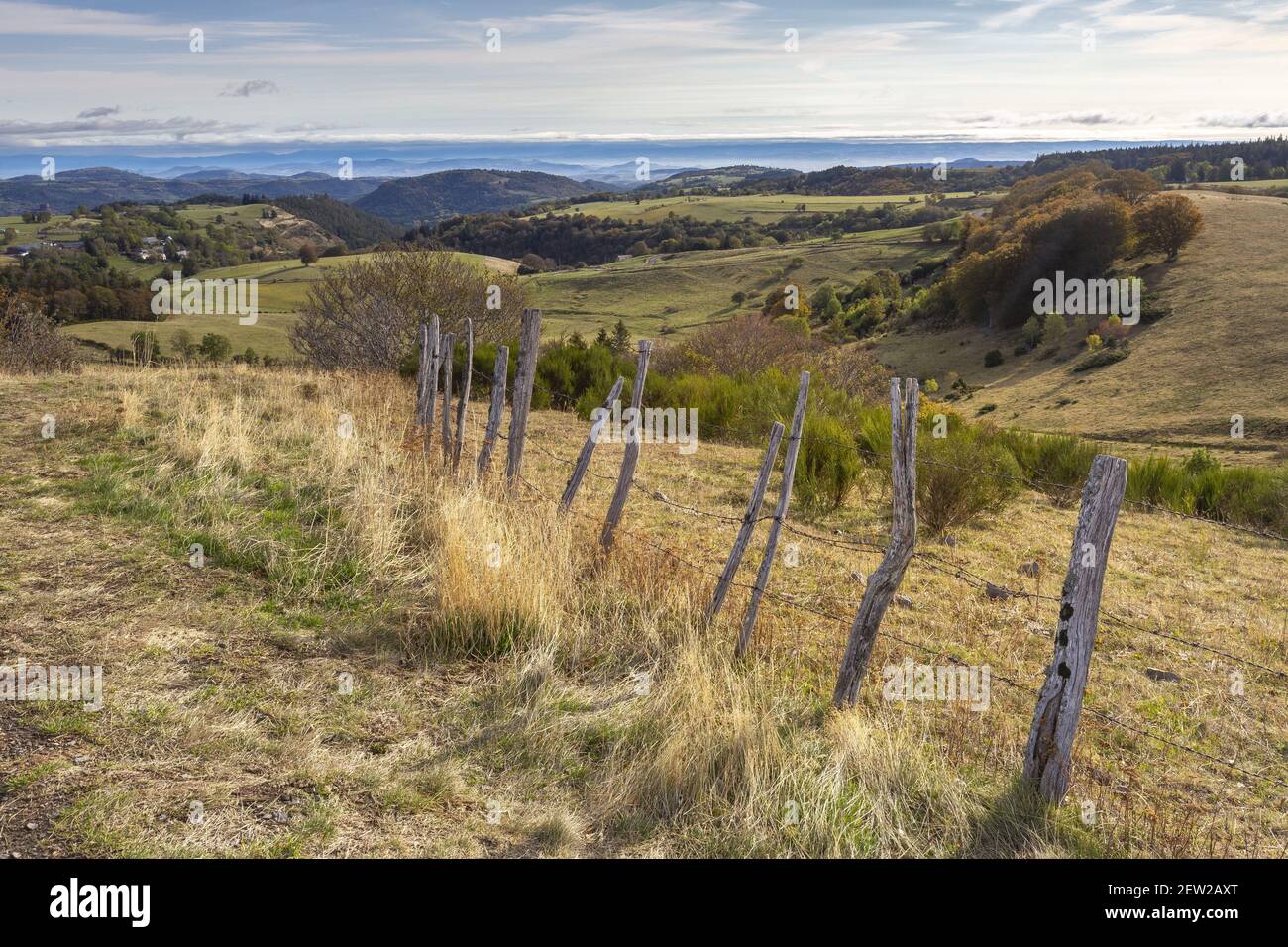 Frankreich, Puy-de-Dome, regionaler Naturpark der Vulkane der Auvergne, Sancy-Massiv, Nationalpark Chaudefour-Tal Stockfoto