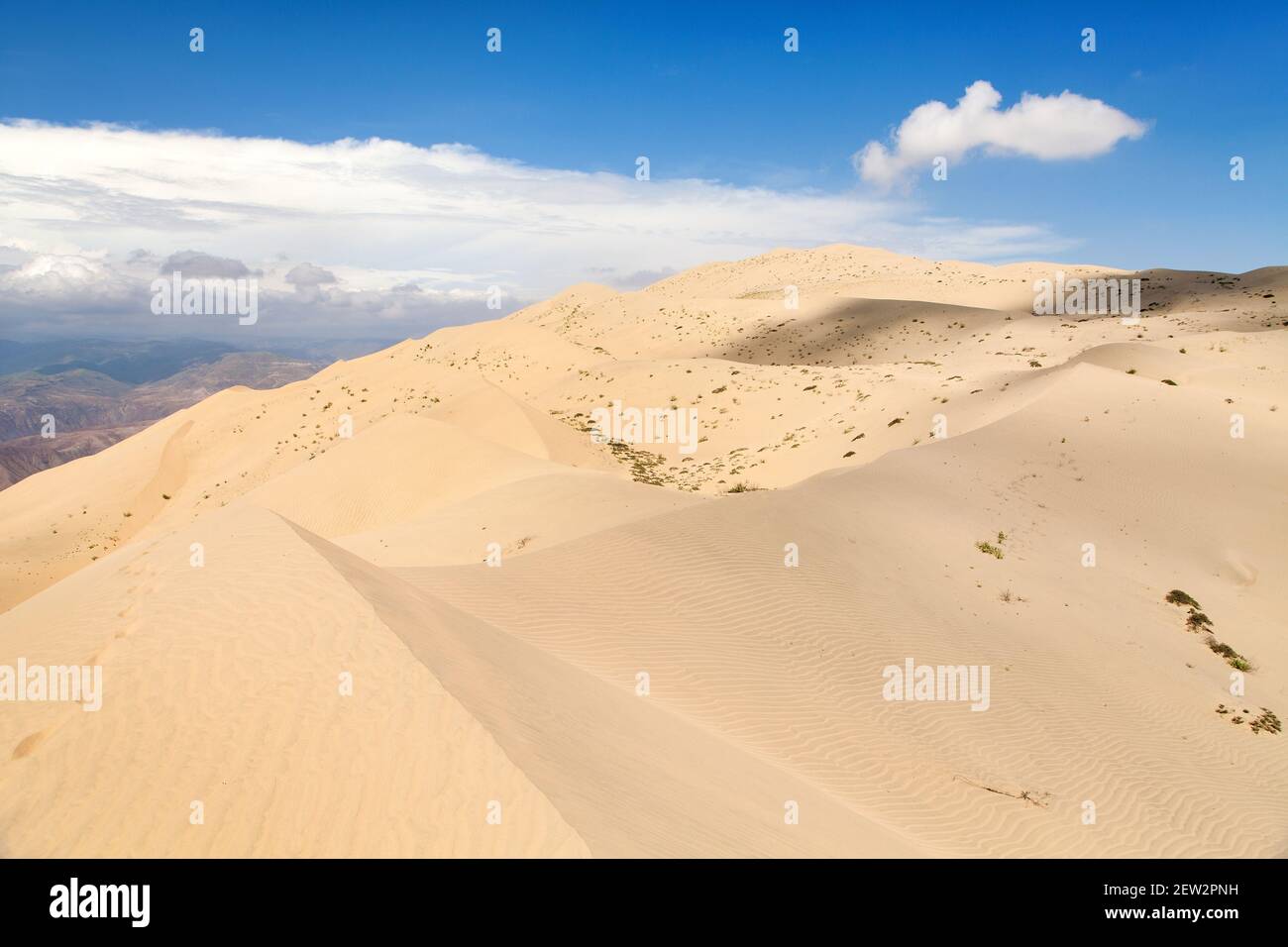 Cerro Blanco Sanddüne, die höchsten Dünen der Welt in der Nähe von Nasca oder Nazca Stadt in Peru, eine der höchsten Dünen der Welt in der Nähe von Na Stockfoto