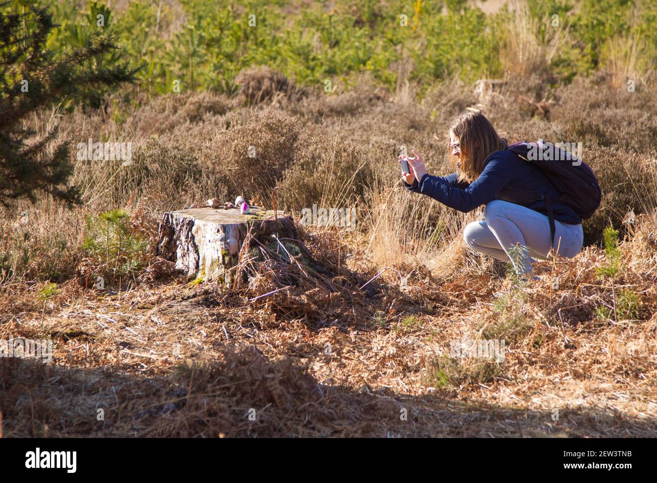 Frau hockt Foto Ockham Common Forest, Chatley Heath Surrey UK 2021 Februar Winter Stockfoto