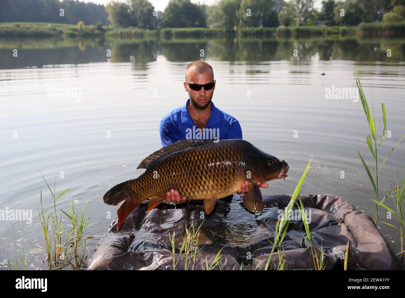 Der Angler hat einen schönen jungen Karpfen gefangen und ist Posiert für Fotos der Angler wirft die Karpfen Angelausrüstung Stockfoto