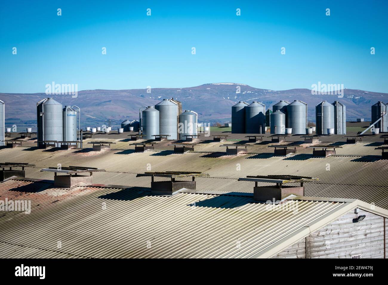 Blick über eine Cumbrian Chicken Farm zu den Pennine Hills Stockfoto