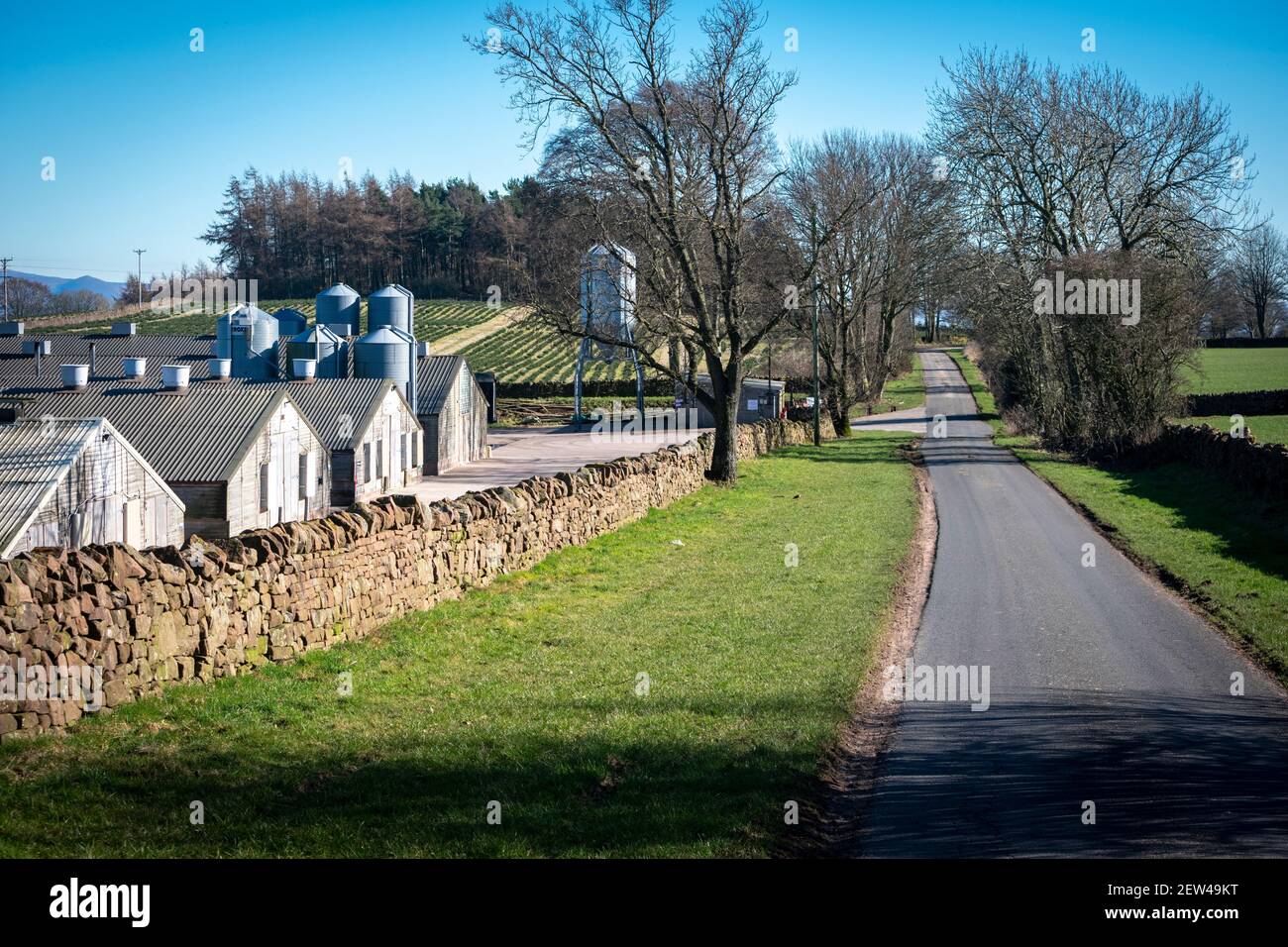 Ruhige Landstraße in Cumbria, die neben einer Hühnerfarm läuft Stockfoto
