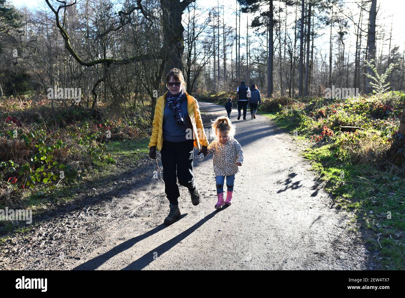Frau und Kind auf einem Waldspaziergang Shropshire, Großbritannien Stockfoto