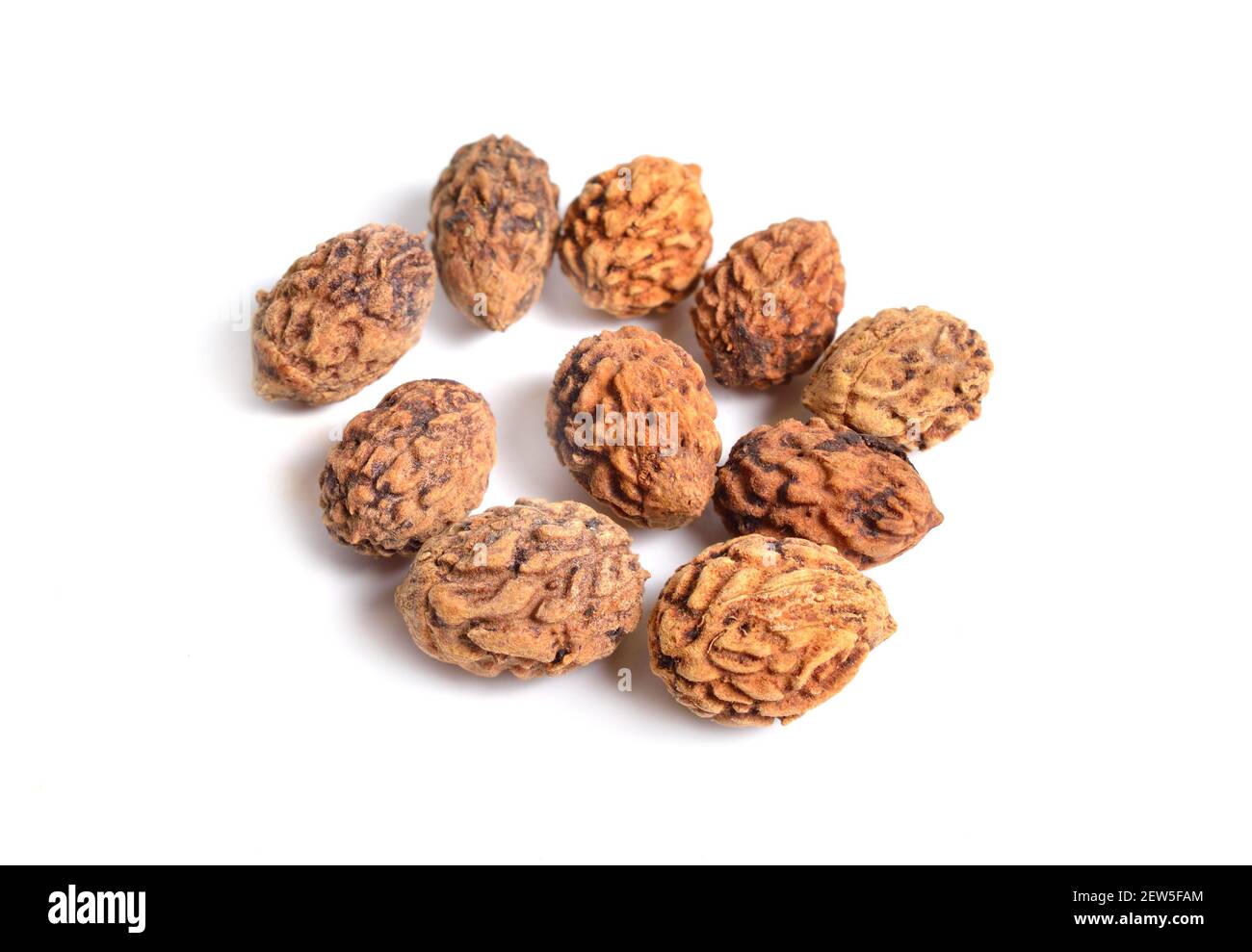 Samen oder Steine Ziziphus jujuba, allgemein Jujube genannt. Isoliert auf Weiß Stockfoto