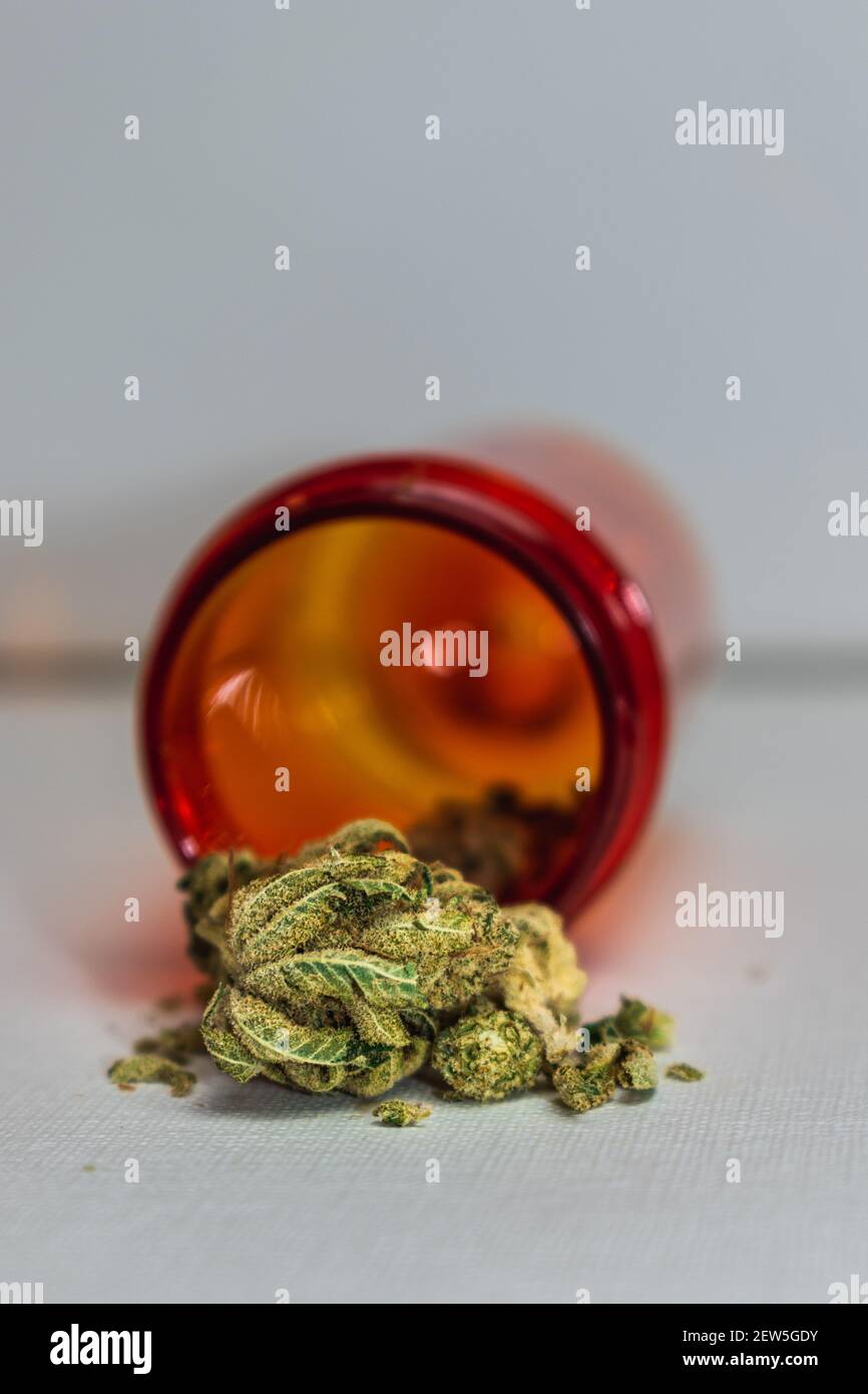 Makrofotos von medizinischem Marihuana aus der Apotheke Stockfoto