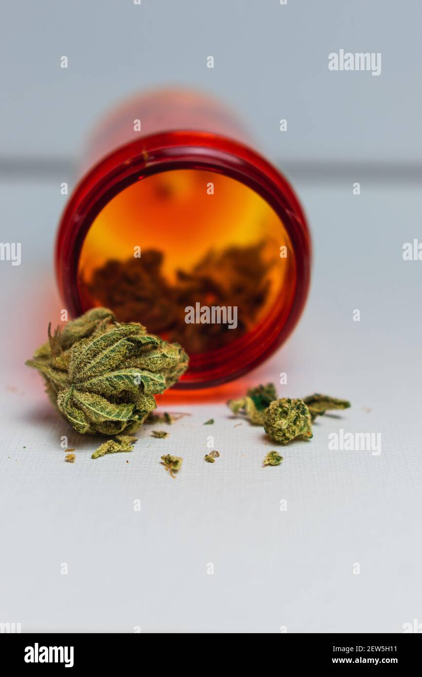 Makrofotos von medizinischem Marihuana aus der Apotheke Stockfoto
