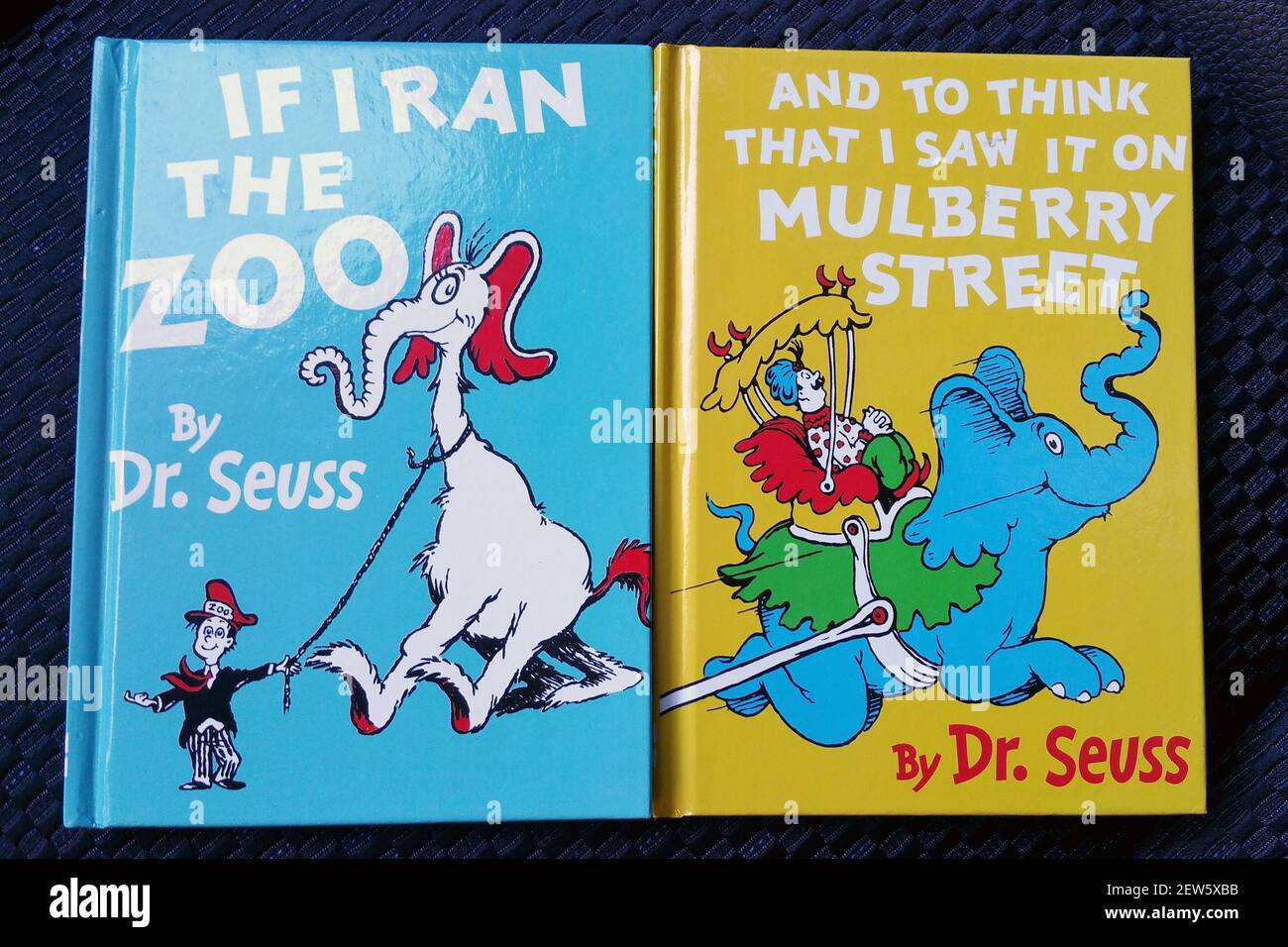 Eine Kopie von Dr. Seuss’ „If I Ran the Zoo“