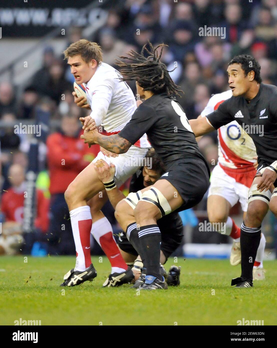 ENGLAND V NEUSEELAND IN TWICKENHAM. 29/11/2008. BILD DAVID ASHDOWN Stockfoto
