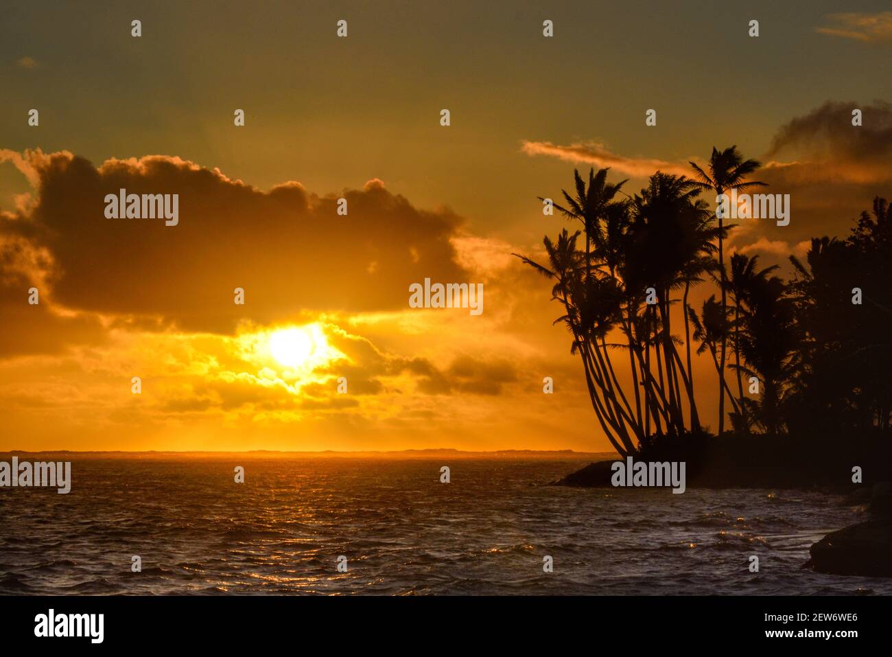 Spektakulärer Sonnenaufgang über dem Pazifischen Ozean mit umsäumten Palmen, Gruppenaufgänge entlang der idyllischen Küste, Oahu, Honolulu, Hawaii, USA Stockfoto