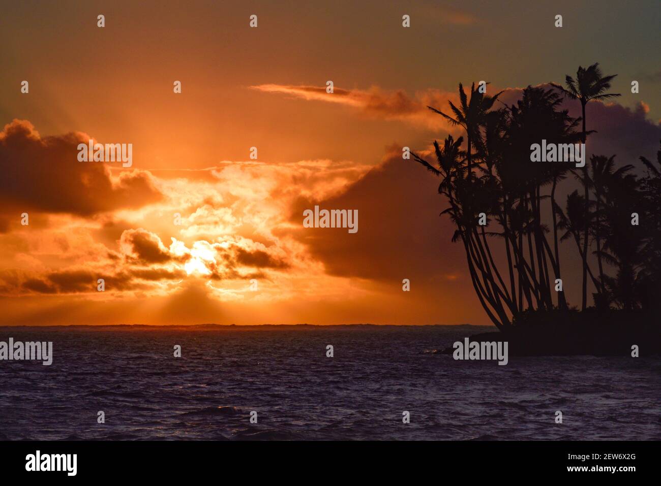 Spektakulärer Sonnenaufgang über dem Pazifischen Ozean mit umsäumten Palmen, Gruppenaufgänge entlang der idyllischen Küste, Oahu, Honolulu, Hawaii, USA Stockfoto