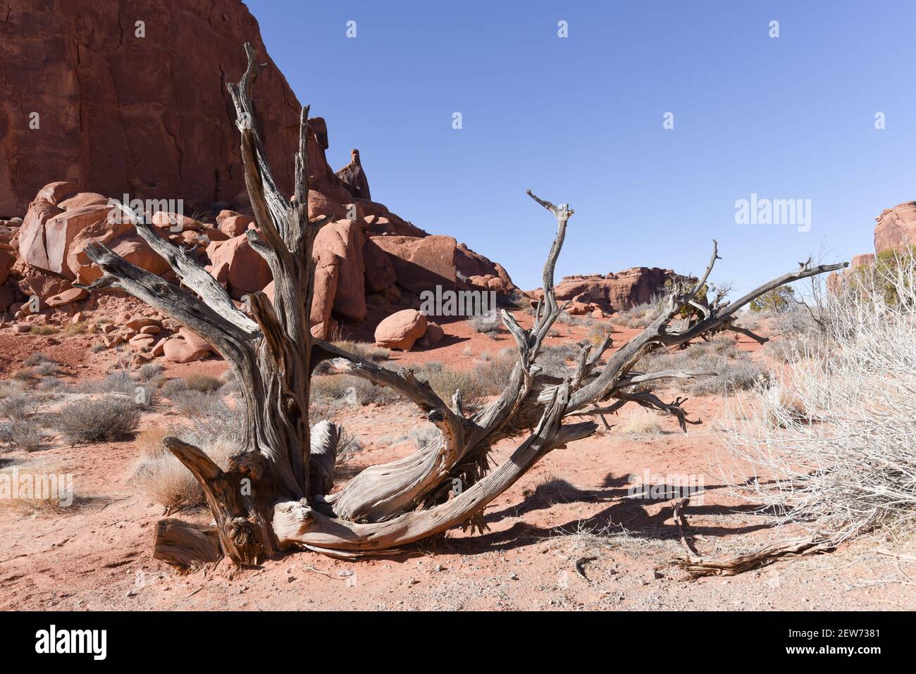 Nahaufnahme der Landschaft, Arches, Utah Stockfoto