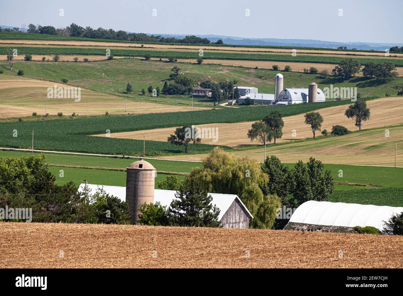 Amerikas Dairyland Stockfoto