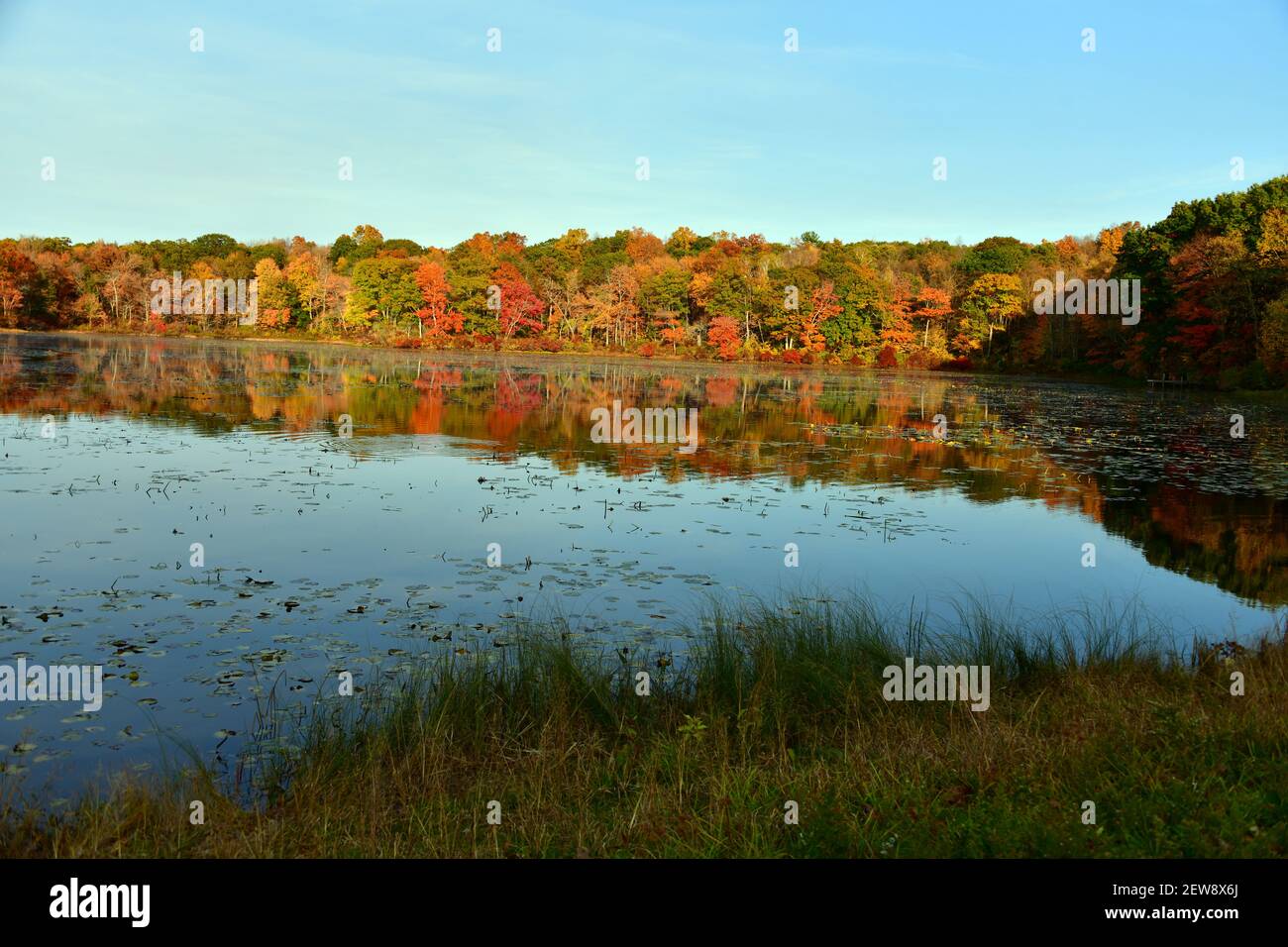 Schöne Svene über einem Teich mit brillanten Laub reflektiert aus dem Wasser in der späten Nachmittagssonne. Stockfoto
