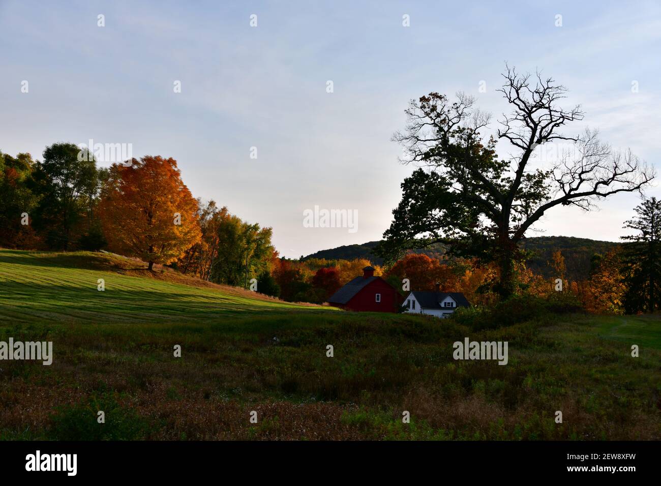 Sanfte Hügel mit schönen Laub und Bauernhäuser in spät Tagessonne Stockfoto