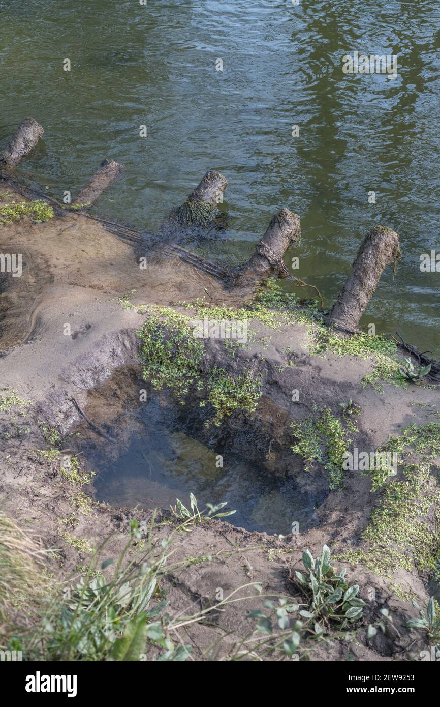 Eingestürzte hölzerne Hochwasserschutzbarriere / Erosionsschutz Barriere durch Flusswasser überwältigt. Für Klimawandel, Flussmanagement, Hochwasserschutz. Stockfoto