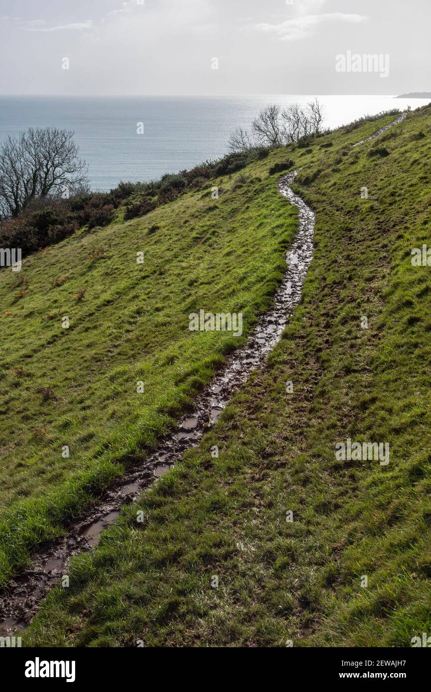 Schlammiger Pfad um Feld, South West Coast Path, Devon Stockfoto