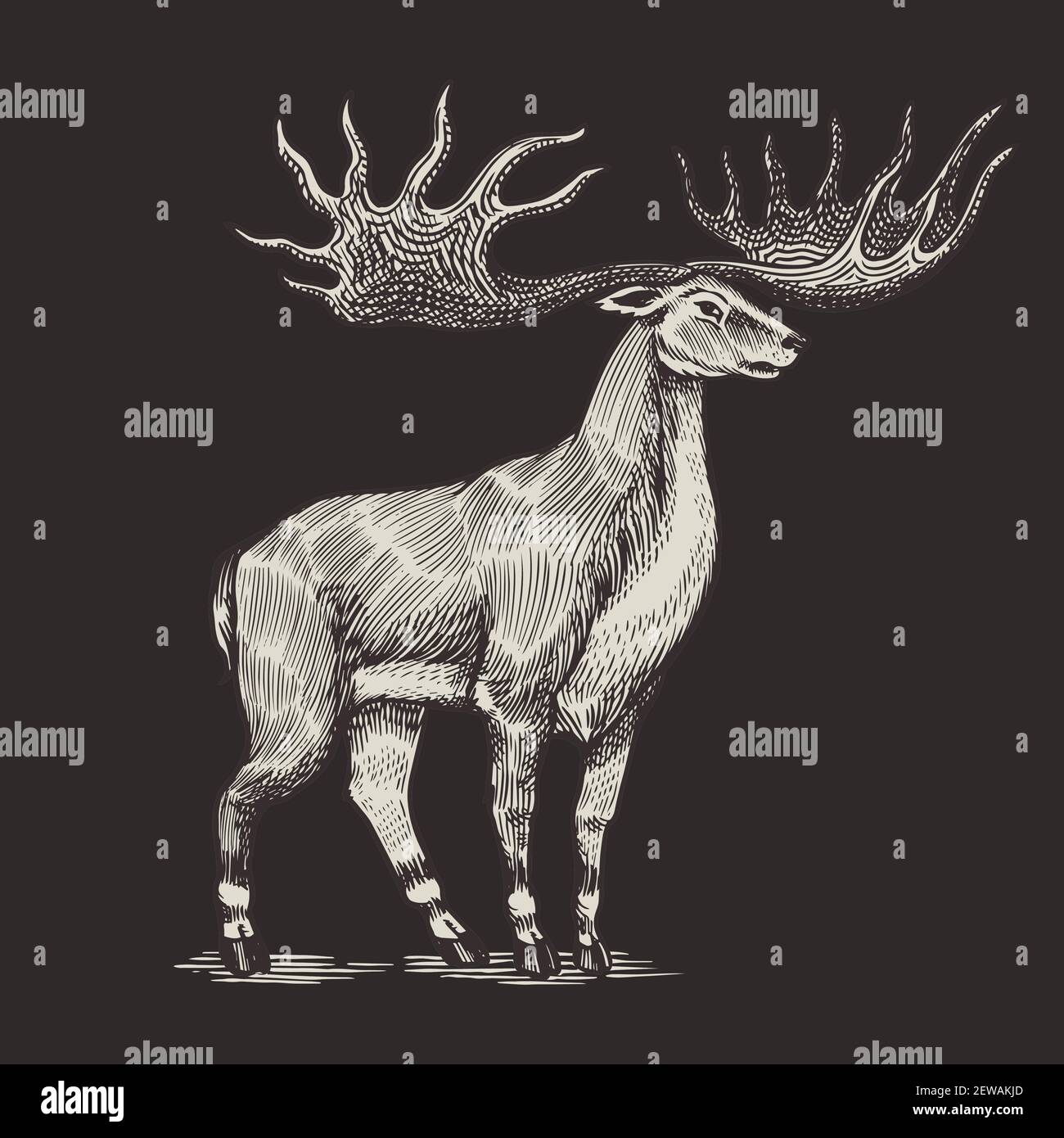 Irischer Elch oder Riesenhirsch oder großes Horn. Prähistorische Säugetiere. Ausgestorbenes Tier. Vintage Retro Vektor Illustration. Doodle-Stil. Handgezeichnet graviert Stock Vektor