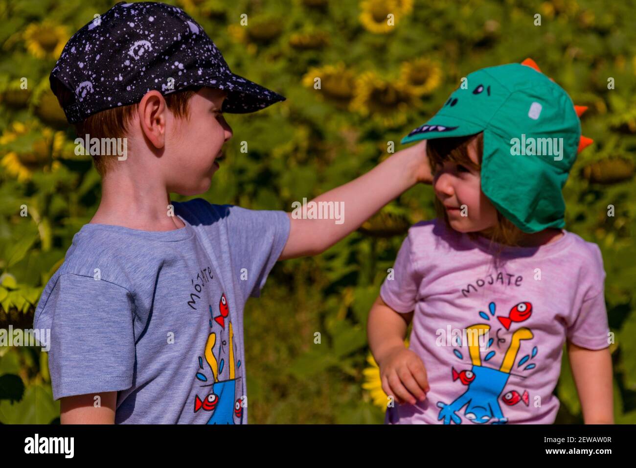 Ein süßer Rotschopf Junge mit einer Mütze und einem Baby Mädchen, die einander in einem Sonnenblumenfeld auf Ein sonniger Sommertag Stockfoto