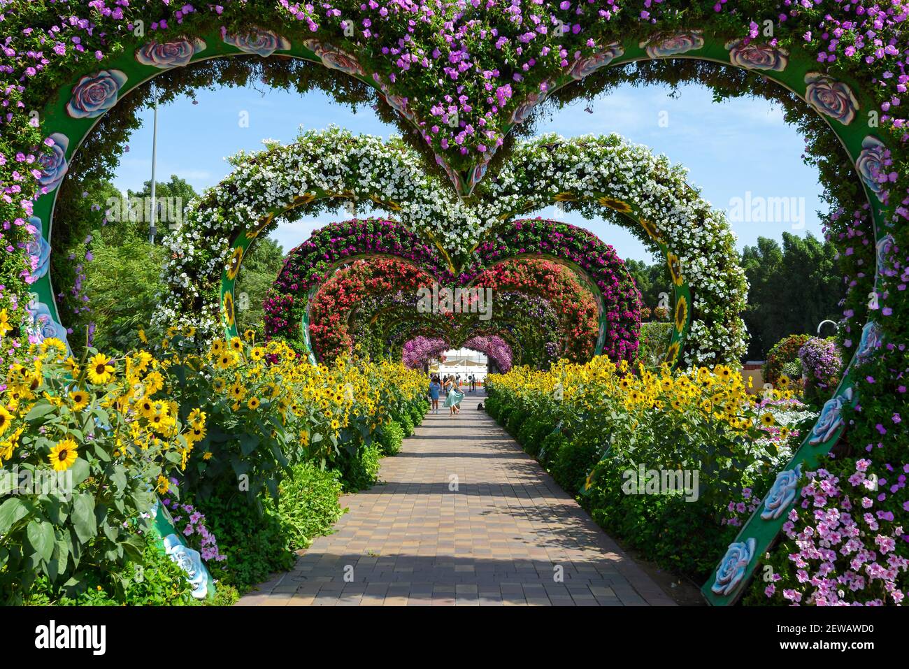 Flower Hearts Passage im Dubai Miracle Garden, einer Blumenpassage in Dubai, Vereinigte Arabische Emirate. Farbenfroher herzförmiger Blumentunnel. Stockfoto