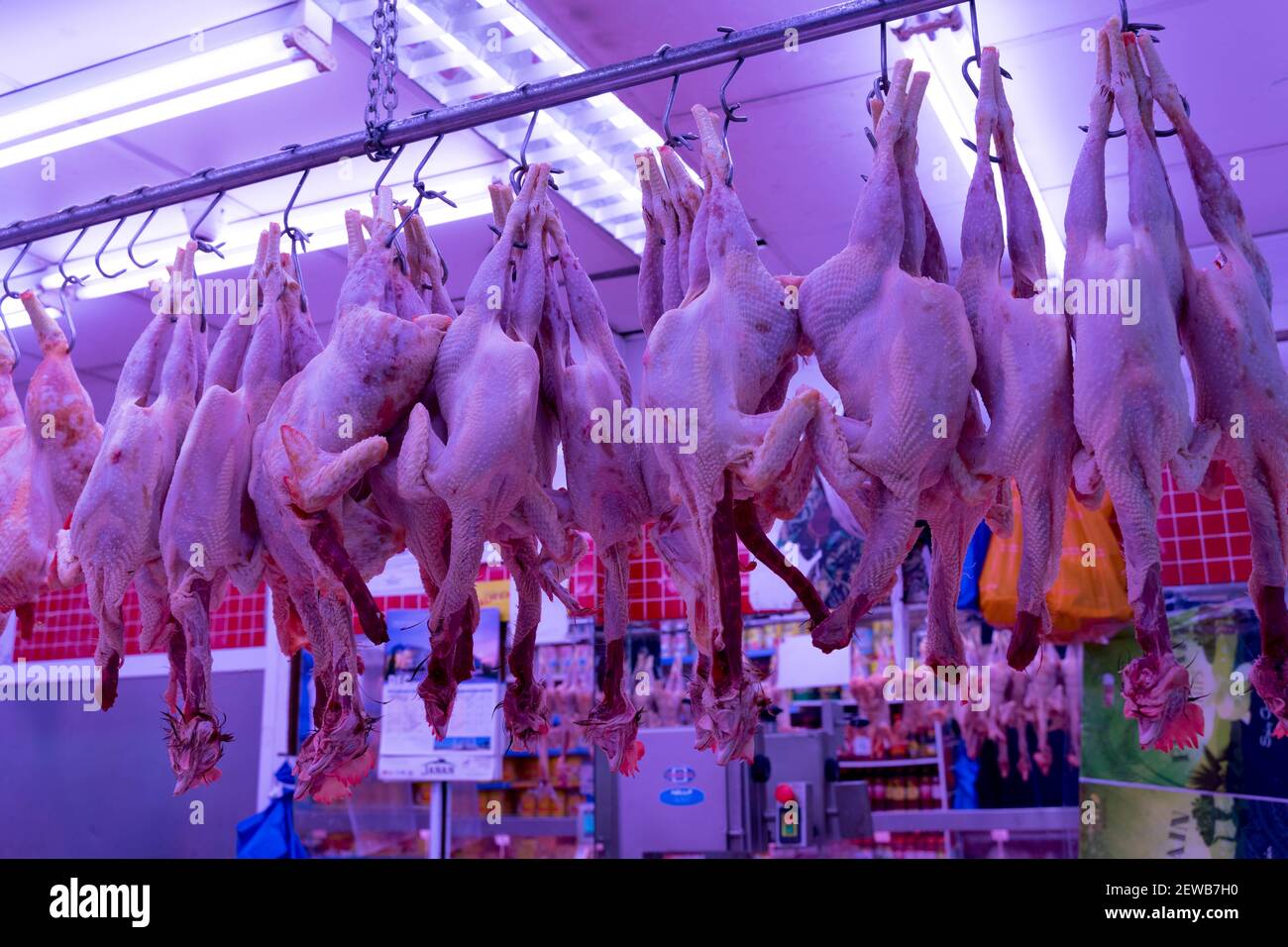 Verkauf von geschlachteten Hühnern ohne Federn auf dem Markt, rohes Huhn und Hungs auf Metallgeländer in einem Metzger Stockfoto