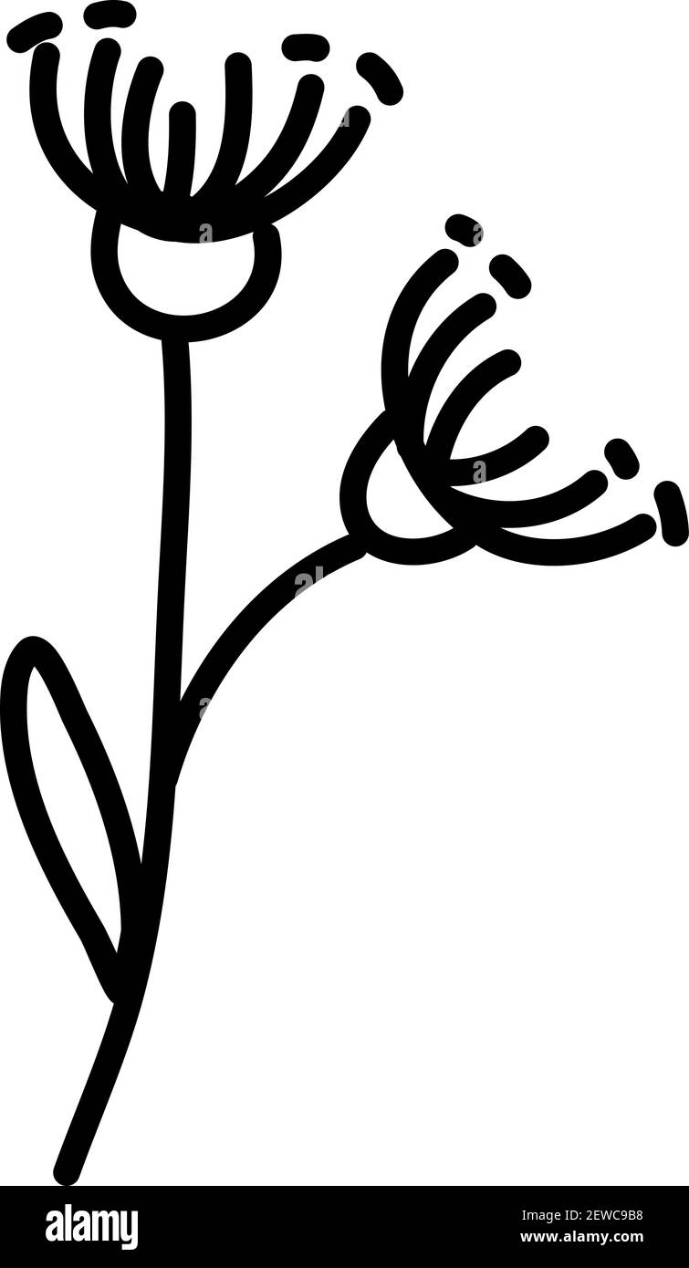 Gartenblumen, Illustration, Vektor auf weißem Hintergrund. Stock Vektor